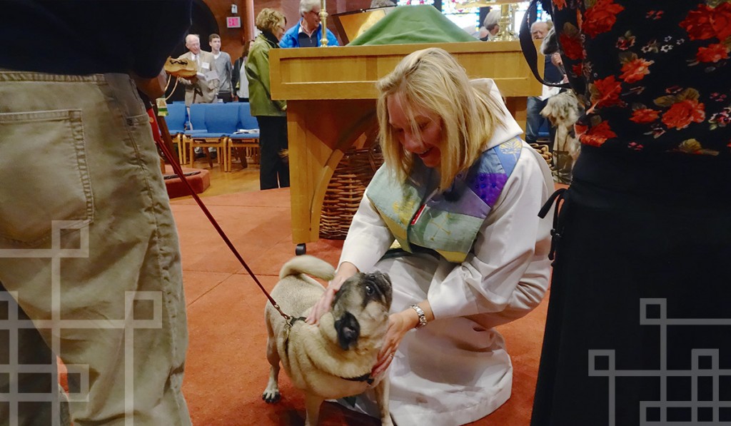 blessing-of-pets-st-marks-capitol-hill-dc