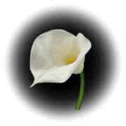 Click to join Easter Prayers of the People via Zoom